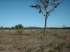 Fazenda em porangatu - go, 580 hectares